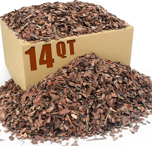 Miniatura 17 de Corteza orgánica para macetas de orquídeas de 3 cuartos - Mantillo natural para plantas en maceta, desarrollo de raíces de plantas de orquídeas