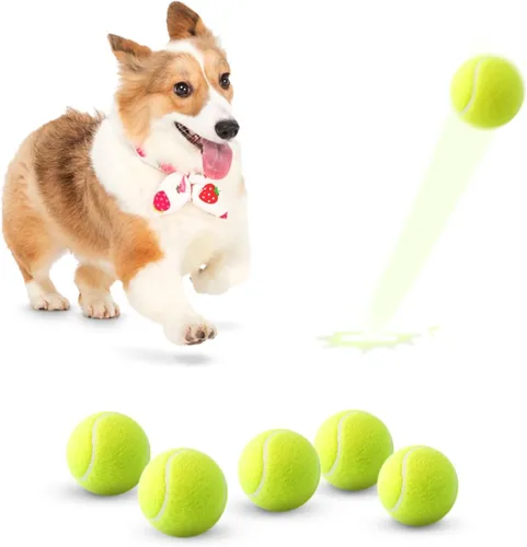MEKAPLE Paquete de 6 pelotas de tenis mini para jugar con mascotas, pelotas de tenis de 2 pulgadas para entrenamiento de perros pequeños, pelotas de