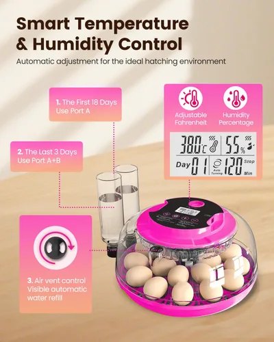 Miniatura 3 de Incubadora para incubar huevos, capacidad de 18 huevos, incubadoras con ovoscopio, girador automático de huevos, control de temperatura y humedad