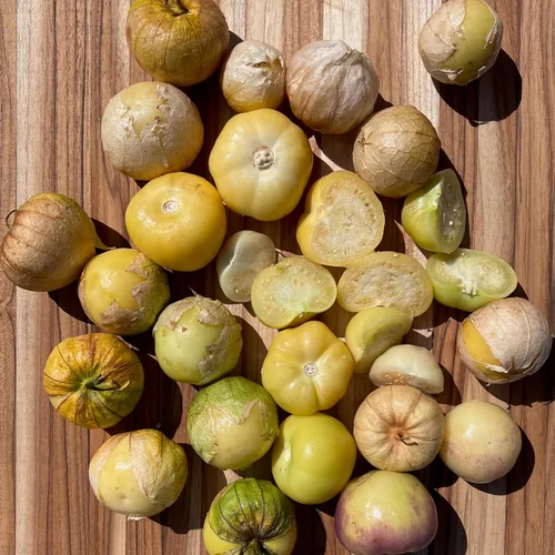 Miniatura 2 de Plant Good Seed Semillas de tomatillo orgánico Toma Verde – Paquete de 50, semillas tradicionales para plantar verduras – Suministros de jardinería