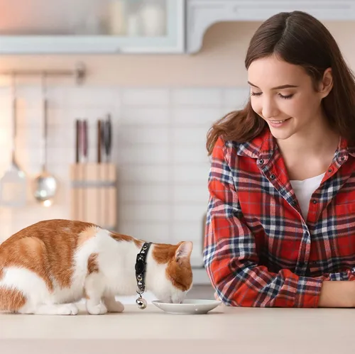 Miniatura 2 de Baeuppit 2 piezas de collares de gato separables con campana, lunas y estrellas. Lindos collares ajustables para gatitos con colgante que brillan