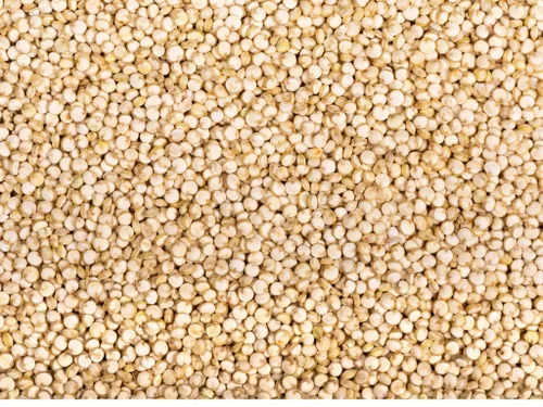 Miniatura 4 de CEREAUSLY Quinoa blanca orgánica – Quinoa real premium de Bolivia – Quinoa Kosher y sin OMG – Quinoa vegana y con cuota de gluten – 10 libras