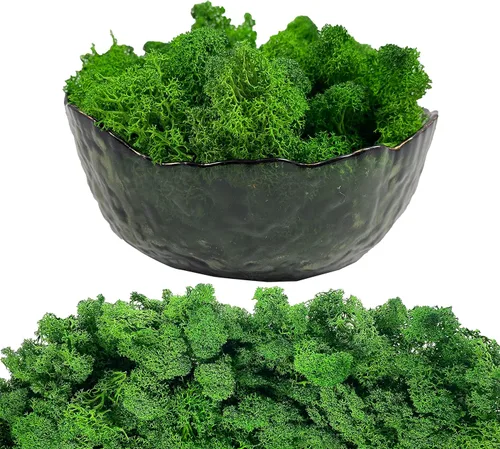 Miniatura 15 de Musgo artificial preservado de musgo para plantas en maceta, musgo verde fresco natural para manualidades, decoración de pared floral, centros