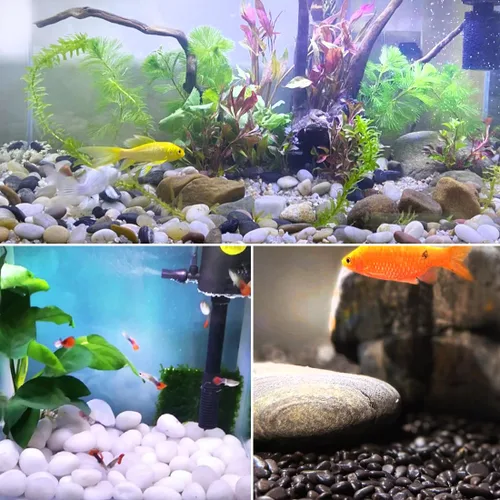 Miniatura 6 de YISZM Rocas blancas de río de 40 libras para paisajismo, guijarros naturales de 2 a 3 pulgadas para plantas de interior, piedras decorativas Blanco