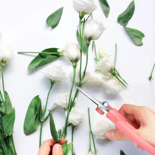 Miniatura 7 de Housolution Tijeras de flores, tijeras florales fuertes, tijeras de podar de jardín de acero de primera calidad, tijeras de jardín, tijeras