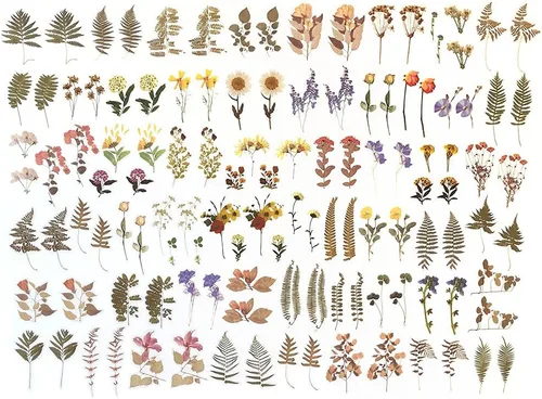 Miniatura 4 de Calcomanías de mariposa (18 hojas/más de 500 piezas) coloridas holográficas con purpurina para PET, calcomanías transparentes para álbumes