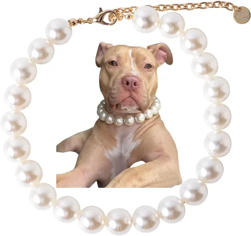 Miniatura 12 de Collar de perlas con cuentas para perro, hecho a mano, collar de perro elegante con campana, joyería para perros pequeños, cachorros (M, rosa crema)