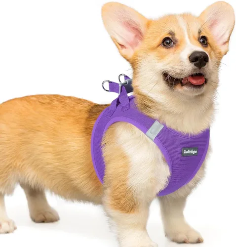 Miniatura 14 de rabbitgoo Arnés para perro pequeño, chaleco de malla suave para cachorros con hebilla de seguridad, arnés reflectante transpirable para mascotas