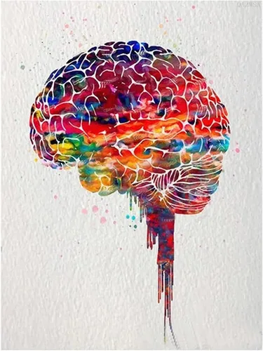 QAZWSX Kit de pintura de diamantes, acuarela cerebro 5D, pintura artística de diamante DIY, para adultos y niños, 12 x 16 pulgadas