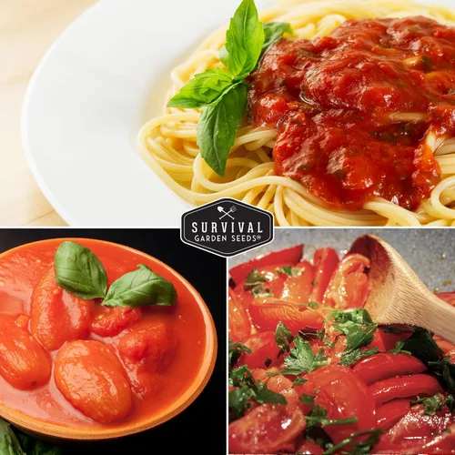 Miniatura 6 de Survival Garden Seeds - Semilla de tomate San Marzano para plantar - 1 paquete con instrucciones para plantar y cultivar tomates ciruela italianos