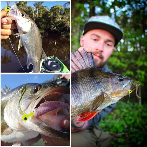 Miniatura 7 de Ganchos de cabeza de plantilla de pesca con cabeza de bola redonda, anzuelos de pesca, señuelos de lubina, cabezas de plantilla para trucha