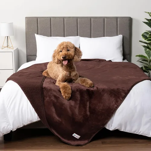 Miniatura 34 de PETAMI Manta impermeable de forro polar Sherpa para gatos y perros, color beige, talla S