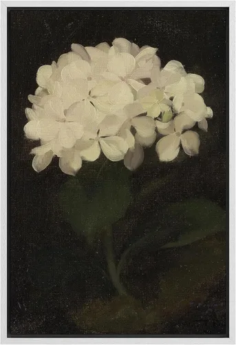 Miniatura 33 de SIGNFORD Lienzo impreso para pared, acuarela, floral, retro, abstracto, naturaleza, desierto, ilustraciones florales botánicas, arte moderno