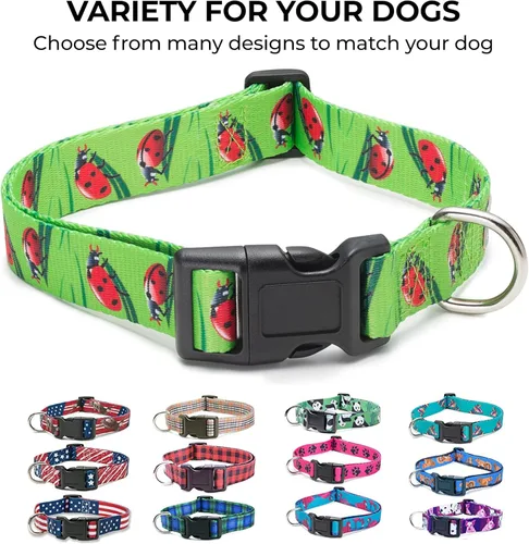 Miniatura 5 de Collar de perro con bandera estadounidense en 5 tamaños diferentes clásico (grande)
