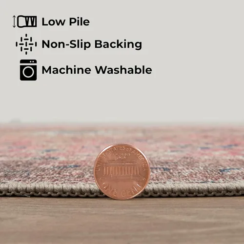 Miniatura 171 de GLN Rugs Traditional Collection - Alfombra de felpilla lavable a máquina, tradicional lavable, antideslizante, alfombra de felpilla de pelo corto