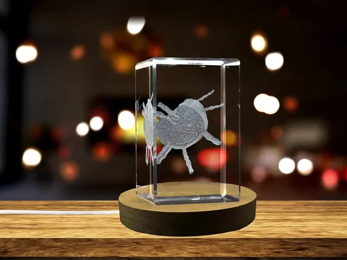 Miniatura 26 de Regalo para médicos 3D grabado en cristal recuerdo/regalo/decoración/(pequeño (3 x 2 x 2 pulgadas), arterias)