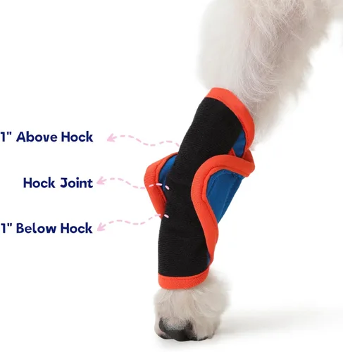 Miniatura 3 de FUAMEY Soportes para patas de perro para pierna trasera
