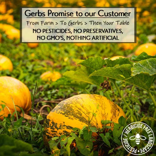 Miniatura 3 de Semillas de calabaza ligeramente saladas con sal marina en cáscara de Gerbs - 2 libras - Libres de los 11 principales alérgenos alimentarios y sin