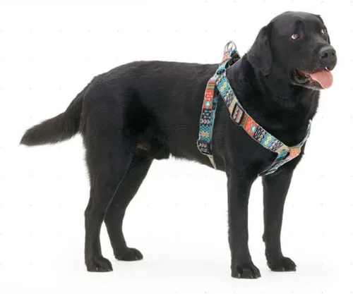 Miniatura 3 de Juego de arnés y correa para perro, bonito patrón sin tirones, chaleco halter para cachorros, para exteriores, fácil caminar para razas pequeñas