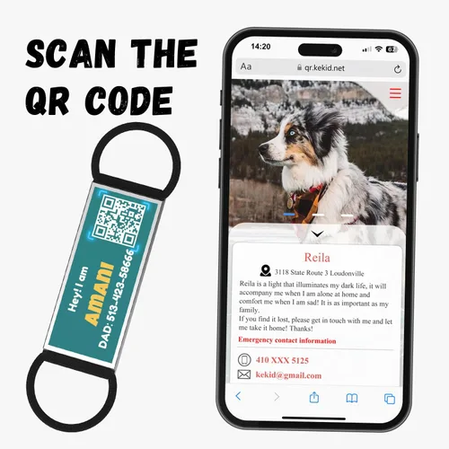 Miniatura 4 de Etiqueta de identificación de perro deslizable con código QR, etiqueta silenciosa personalizada personalizada para mascotas - Gratis en línea