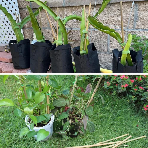Miniatura 6 de 50 piezas / estacas de bambú de 2 pies para plantas de interior y exterior, palos de soporte para plantas de jardín, postes para tomate, verduras