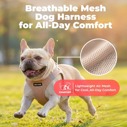 Miniatura 146 de Best Pet Supplies Voyager Step-in Air - Arnés para mascotas, malla para todo tipo de clima, reflectante, arnés sin tirón para perros y gatos - Arnés