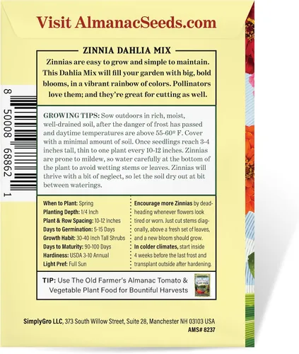 Miniatura 4 de The Old Farmer's Almanac Semillas de zinnia (mezcla de dalia) – Aproximadamente 200 semillas de flores – Premium sin OMG, polinizado abierto, origen