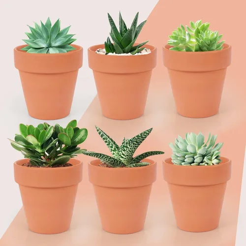 Miniatura 3 de Paquete de 26 macetas pequeñas de arcilla terracota de 3 pulgadas con orificio de drenaje, maceta de terracota para plantas de interior y exterior