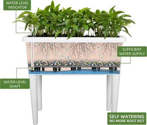 Miniatura 2 de Dexceder Cama de jardín elevada de 13.2 galones con riego automático, tapa transparente con ventilación, invernadero, caja de plantación para Blanco