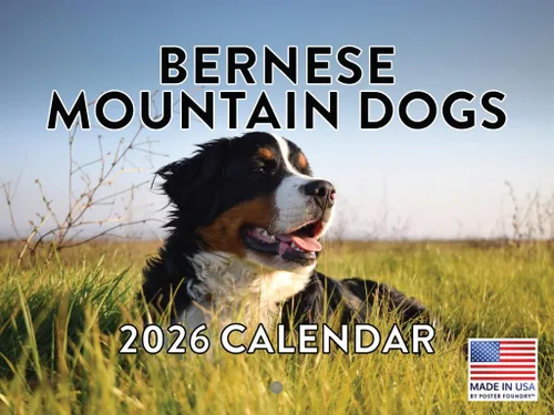 Miniatura 193 de Calendario de pared mensual 2025 Great Dane de 12 meses, fabricado en Estados Unidos