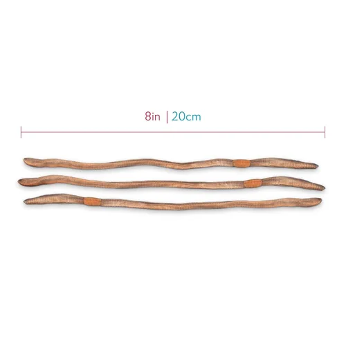 Miniatura 3 de Espécimenes de lombriz de tierra para disección, disección de gusanos para aula de biología, grandes de 8 a 10 pulgadas, envasados al vacío, paquete