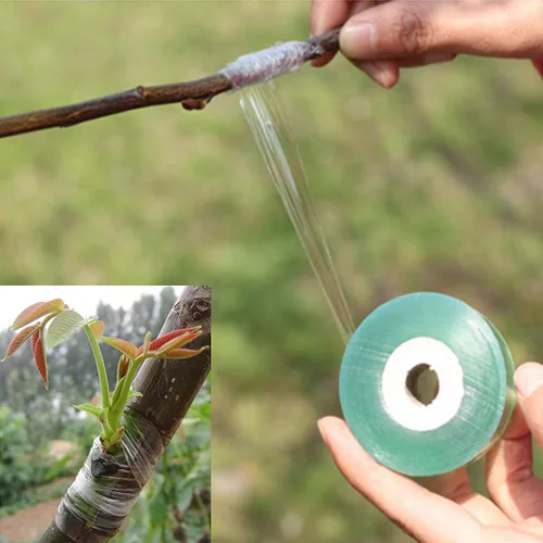 Miniatura 4 de Hilitand Cinta de injerto de árboles frutales, PVC injerto de árboles frutales cinta elástica barrera rama jardinería herramienta 3CMx100M