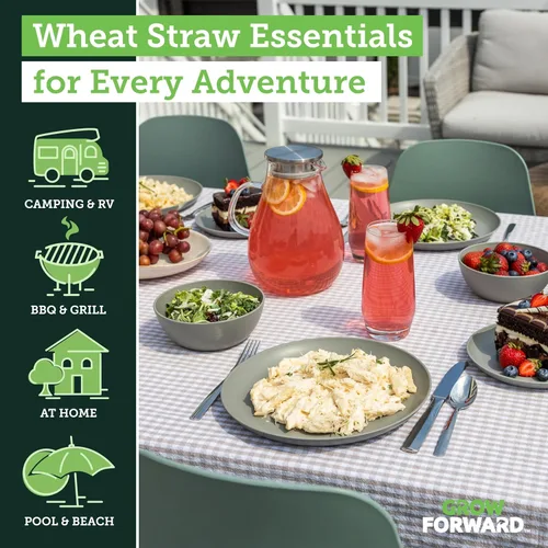 Miniatura 2 de Grow Forward Juego de vajilla de paja de trigo de 16 piezas premium para 4 - Juego de platos y cuencos de plástico irrompibles aptos