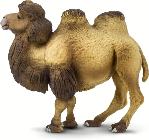 Miniatura 2 de Safari Ltd. Figura de camello bactriano, figura realista de vida silvestre de 4.25 pulgadas, juguete educativo para niños, niñas y niños a partir