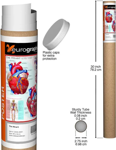 Miniatura 2 de EuroGraphics Póster The Heart, 36 x 24 in