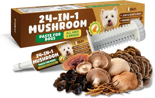 Hongos para perros – Hongo de cola de pavo para perros – Apoyo a la salud inmunológica, intestino, piel, articulaciones – Bultos y protuberancias de
