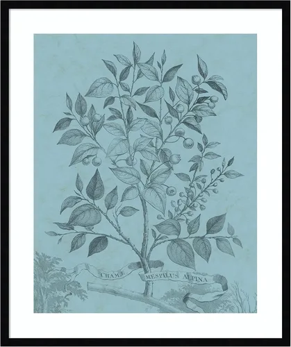 Miniatura 19 de Amanti Art Vision Studio - Póster enmarcado de 24 x 20 pulgadas, diseño botánico en V verde azulado por Vision Studio, arte de pared de naturaleza