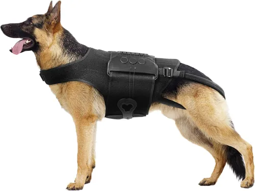 Soporte de espalda para perro para IVDD, artritis, discos deslizados y herniados - Proporciona apoyo para la espalda y alivio del dolor, estabiliza