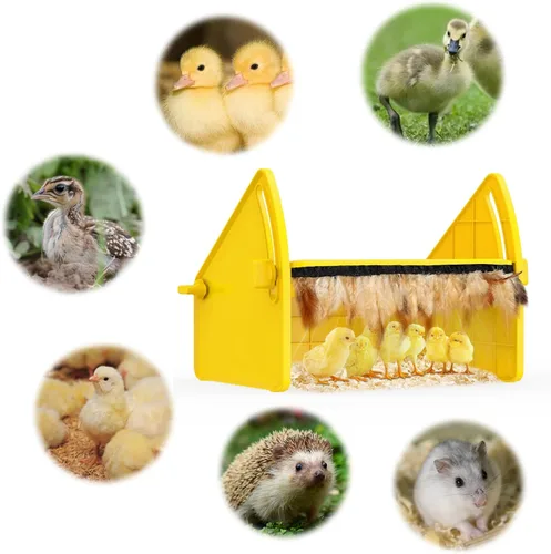 Miniatura 7 de Placa de incubadora de calefacción para patitos de pollos, ajustable de 3 niveles de temperatura, casa para mantener las aves de corral calientes