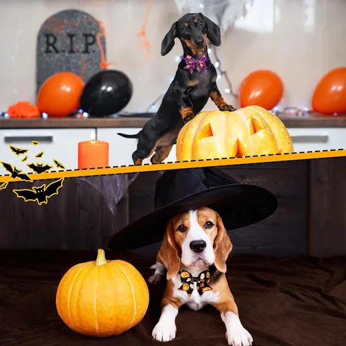 Miniatura 5 de Maitys 40 corbatines de Halloween para perros y gatos, collares básicos de corbatín para cachorros, accesorios para el cuello de gatito, accesorios