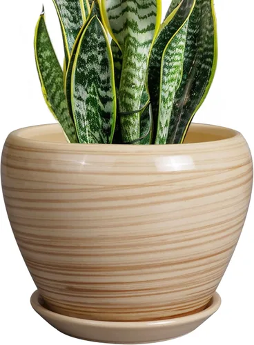 Miniatura 25 de Maceta de Cerámica Moderna con Esmalte para Suculentas con Agujero de Drenaje y Platillo, Maceta Redonda de 6 Pulgadas para Plantas de Flores