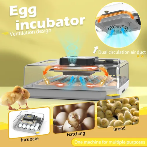 Miniatura 2 de Incubadoras para incubar huevos Incubadora de 48 huevos con giro automático y control de humedad para pollo, vela de huevo para huevos de gallina