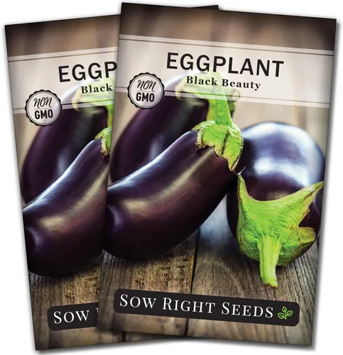 Miniatura 7 de Sow Right Seeds - Semilla de berenjena Black Beauty para plantar - Paquete de reliquia sin OMG con instrucciones para plantar un huerto en el hogar