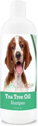 Miniatura 132 de Healthy Breeds Doberman Pinscher Champú de aceite de árbol de té, formulado para piel seca e irritada, reduce la caspa, aroma a gaulteria, 8 onzas