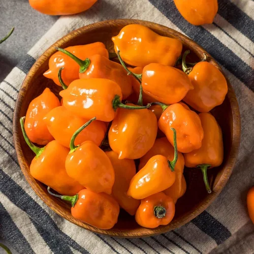 Miniatura 3 de 150 semillas de pimienta habanero naranja, sin OMG, chile súper picante para plantar, ideal para salsa picante, salsas y jardines domésticos - Alta
