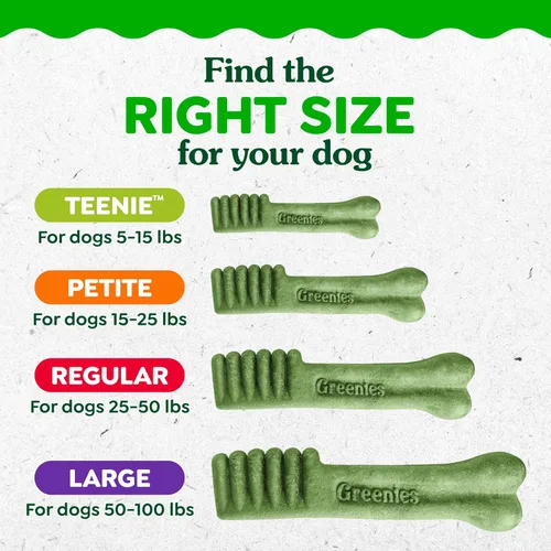 Miniatura 12 de Greenies - Golosinas naturales de cuidado dental para perros pequeños, sabor fresco, paquete de 12 onzas (20 unidades)