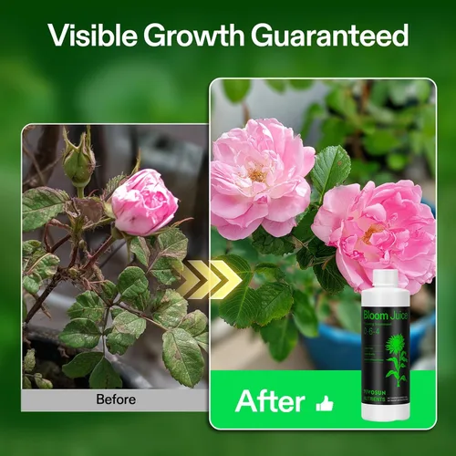 Miniatura 4 de VIVOSUN Bloom Juice (0-6-4), suplemento de floración fertilizante líquido para etapa de floración, alimento concentrado para plantas para todas