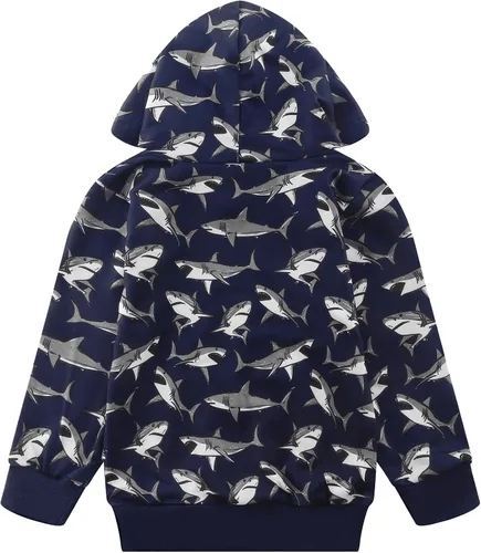 Miniatura 5 de Akyzic Sudadera con capucha para bebés y niños, diseño de dinosaurios, con bolsillo, sudadera cálida para niños