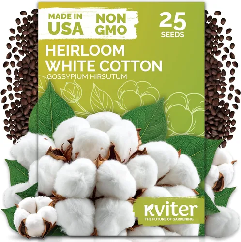 KVITER 25 semillas de algodón blanco para plantar (Gossypium hirsutum) – Planta de algodón real, semillas de algodón para cultivo, semillas de