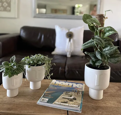 Miniatura 3 de Macetas para plantas de interior – Macetas altas de cerámica de riego automático de 7 pulgadas, maceta blanca mate con drenaje y maceta